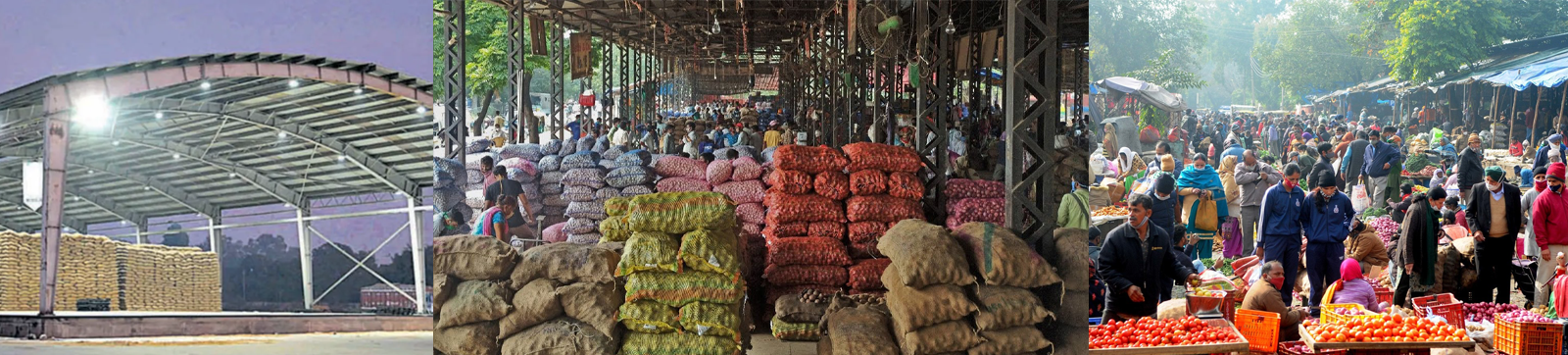 Chandigarh’s Grain Market in Sec 26 to be Finally Shifted to Sector 39