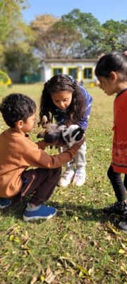 Kids playing with farm animal in Tricity Picnics