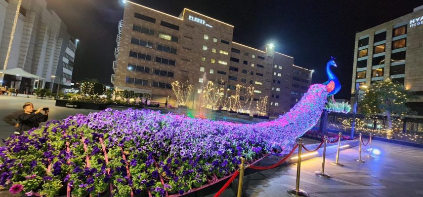 ‘floral peacock’ at Elante mall